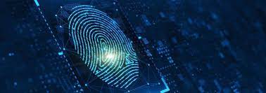 software development in 2024 6 ddf